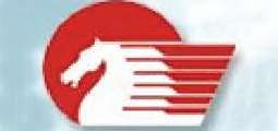 中国神马集团有限责任公司